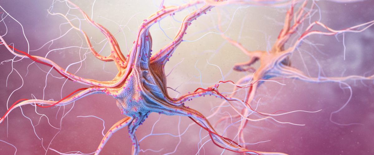 Neurons and nervous system. 3d render of nerve cells